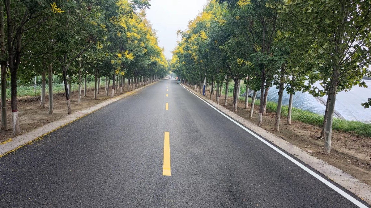 用奮斗為國慶獻(xiàn)禮——臨淄區(qū)四好農(nóng)村路項目國慶獻(xiàn)禮在行動