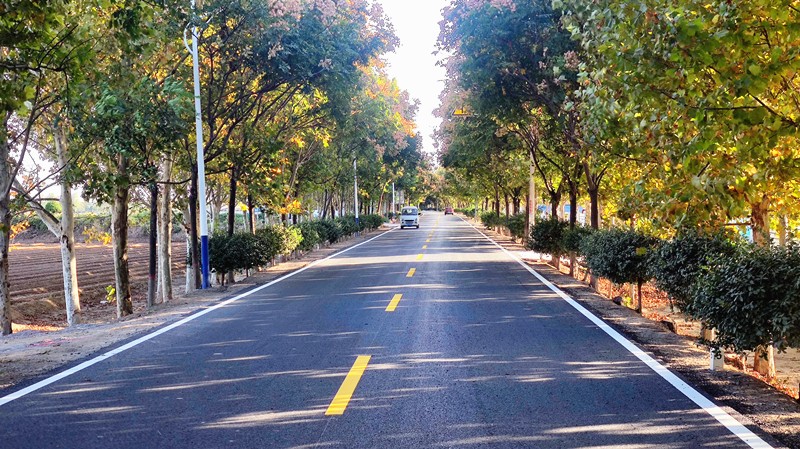 市政工程公司臨淄項(xiàng)目真抓實(shí)干修好“四好農(nóng)村路”