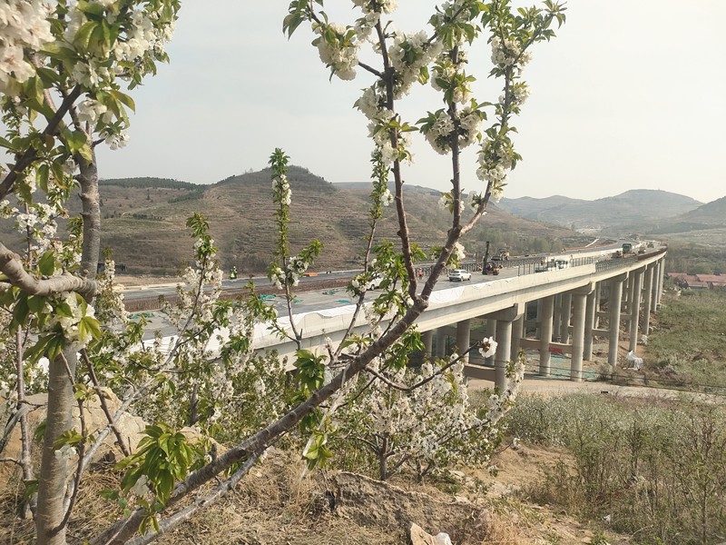 春之希望：臨臨項目建設(shè)圖片展