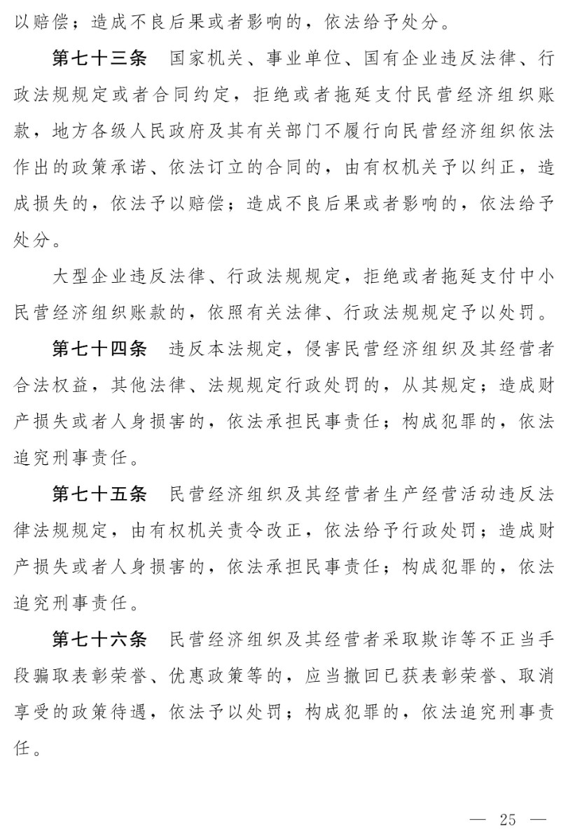 民營經(jīng)濟(jì)促進(jìn)法(草案)_17