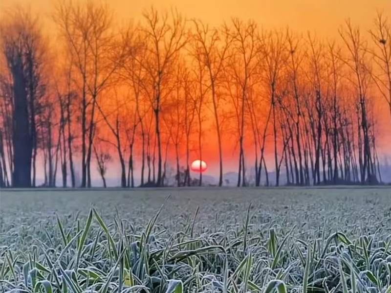 圖片1_副本 圖片1_副本