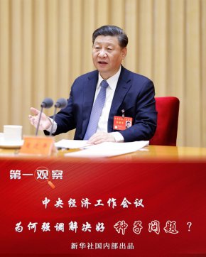 中央經(jīng)濟工作會議，為何強調(diào)解決好種子問題？